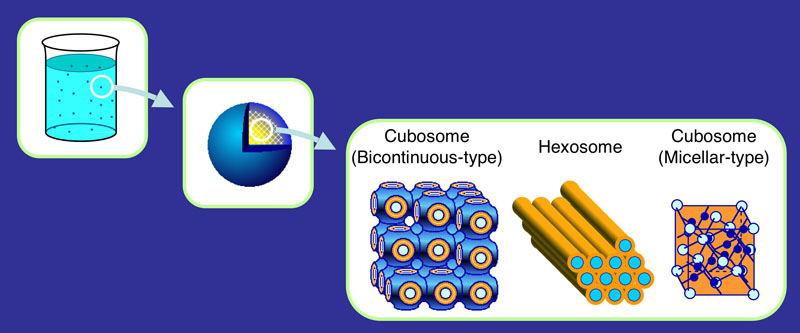 Cubosome and Hexosome