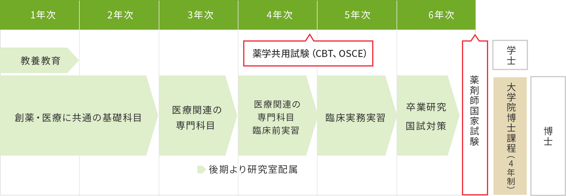 薬学科