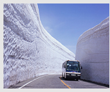 Tateyama Town / Snow Wall (Yuki-no-Otani)