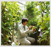 Experimental Station for Medicinal Plant Research attached to Faculty of Pharmacy and Pharmaceutical Sciences