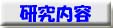 研究内容