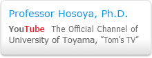 Professor Hosoya（youtube）