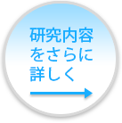 研究内容をさらに詳しく