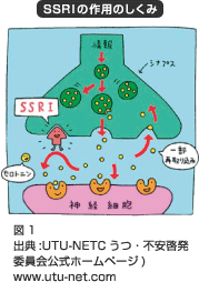 SSRIの作用のしくみ