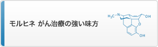 モルヒネ　がん治療の強い味方