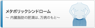 メタボリックシンドローム～内臓脂肪の肥満は、万病のもと～